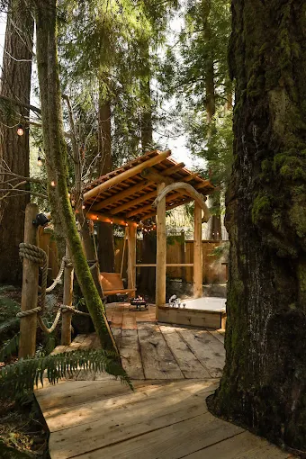 East Sooke Treehouse